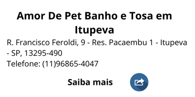 Pets 400x200